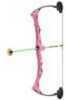 Toy compound bow comes with (3) suction cup arrows and a target. Shoot through riser design can be used by right or left handed shooters.