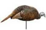 Natural, reassuring feeding pose hen decoy. Reassures confidence to incoming birds. Light weight and compact you can carry multiple decoys for the right setup, spring or fall. Weight: 8 oz.Dimensions:...