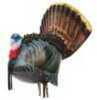 Strutting decoy spins and struts in the slightest breeze. Photo printed for ultra-realistic look. Includes decoy stake.