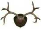 Mountain MIKE'S Deer Antler Rack Plaque W/Shed Spreader