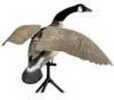 Lucky Duck Flapper Canada Goose Decoy Model: 21-10014-1