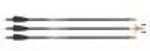 Rage Simply Lethal Bolt Pkg 2 Blade Crossbow 22 in. 3 pk. Model: R93000