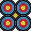 Durable, weatherproof, colorful and affordable targets for all you archery and competitive needs. Great for backyard, club range and indoor leagues.