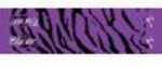 Bohning Tiger Arrow Wraps Purple 4 in. 13 pk. Model: 501001PUT