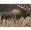 DuraMesh Archery Target Moose 25 in. x 32 in. Model: DM214