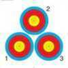 Printed on heavyweight paper, these Indoor Spot Targets are ideal for tuning and accuracy training.