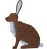 OnCore Rabbit Target Model: R-3