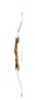 Constructed From Ash Wood, And featuring Hard Maple White Fiberglass Limbs The Adventure 2.0 Comes Equipped With Sight, Stabilizer And Plunger bushings installed. It Is The Ideal Bow For Backyard Shoo...