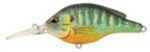 Koppers PumpkInseed 1/2Oz 2 3/4In 5ft-6ft Natural Md#: PS70M-100