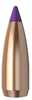 6mm .243 Diameter 55 Grain Spitzer Ballistic Tip Varmint 250 Count by NOSLER BULLETSNoslerÂ® Ballistic TipÂ® Varmint bullets thrive on ultra-high velocity loads and yet will go the distance with spect...