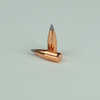 22 Caliber .224 Diameter 50 Grain Poly Tip 100 Count (Blemished) by Major Manufacturer Blem Bullets are Back! As part of our agreement we cannot disclose the manufacture and but these are the overruns...
