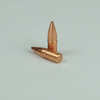 22 Caliber .224 Diameter 55 Grain Lead Free Hollow Point 50 Count (Blemished) by Major Manufacturer Blem Bullets are Back! As part of our agreement we cannot disclose the manufacture and but these are...