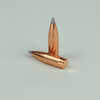 6mm .243 Diameter 87 Grain Poly Tipped Boat Tail 100 Count (Blemished) by Major Manufacturer Blem Bullets are Back! As part of our agreement we cannot disclose the manufacture and but these are the ov...