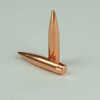 6.5mm .264 Diameter 140 Grain Boat Tail Hollow Point Match 100 Count (Blemished) by Major Manufacturer Blem Bullets are Back! As part of our agreement we cannot disclose the manufacture and but these ...
