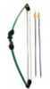 The Scout Is a Compound Bow Ideal For The Beginning Archer. This Bow features Durable Composite limbs And Can Be Used By Either Left Or Right Handed Archers Making It Perfect For The Whole Family.