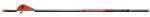 Bloodsport Evidence Arrows 350 Fletched 6Pk .001 Br