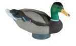 Lucky Duck Quiver Hd Model: 21-10316-6
