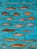Standard Fish Chart Fresh Water Md#: FC002