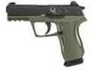 Gamo C-15 Bone Collector Blowback Air Pistol 177 BB/Pellet Green Finish Synethic Stock 8x2 Double Magazine Fixed Sights 