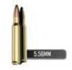 Caliber: 5.56MM - Type: SP - Weight: 63GR - Rounds Per Box: 20 - Boxes Per Case: 50