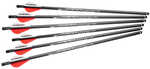 Umarex Arrows For AirJavelin 6 Pack 2252663
