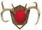 Antler Mounting Kit Red Velvet Skull Piece - Brass Name Plate - Wood Grain Base