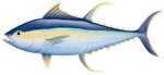 Salty Bones Profile Fish Decal 13-3/4In X 4-3/4In Tuna Md#: BPF2480