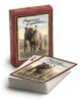 American Expedition Playing Cards - Grizzly Bear