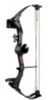 Bear Brave III Bow Set Black AYS200Br