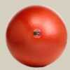 This Commercial-Grade Professional Exercise Ball Was Designed With advanced Technology So You Can Work Out With Confidence. The Superior GoFit Professional Stability Ball features Super-Thick walls co...