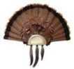 Lohmn Turkey Fan Plaque 3660