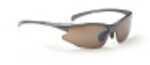 Optic Nerve Omnium 2 Lens Interchangeable Sunglasses Silver