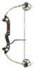 PSE Discovery 2 Bow 20Lb RH 0517MZRIF3020