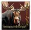 American Expedition Square Coaster - Moose