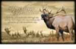 American Expedition Canvas Art - Elk