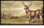 American Expedition Canvas Art - Whitetail Deer