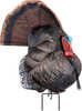 Primos 69072 Photoform Strutter Turkey Species Multi Color Foam