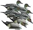 Add This Big, Bright, Natural looking Battleship All-Drake Pintail Decoys To Light Up Your Decoy Spread. The Battleship Is Our Biggest, brightest, Most Durable Oversize Decoy, Perfect For Hunters Who ...