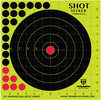 The Shot Seeker Adhesive Reactive Target Has a 10" Bullseye Target On One 14.50" X 9.50" Sheet. The Shot Seeker Adhesive Targets Show a Big Shot Burst With a Bright Yellow Halo at The Impact Location....
