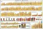 Chamberlain Development's American Standard Poster cOntaIns Every Modern Rifle, Shotgun, And Handgun Cartridge mAnufactured In The USA as Of 2014. In Addition, Military Surplus And a Few Bonus Cartrid...