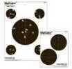 Visicolor Paper Targets- Multiple "Hot Colors" based On Target Ring. High Visibility Colors Are Easy To See at a Distance. Extra bulls To Extend Your Shooting Fun. Visishot Targets- Visishot Target Te...