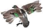The Rapid Flyer Teal's Flapping wIngs Are Modeled after Rapid Flyer Lucky Duck. This Teal Decoy Has Everything Necessary To Draw 'Em In! Lightweight, Flexible wIngs And a Simple Innovative Drive Syste...