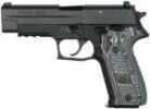 Sig Sauer Mag250SC456 P250 45 Automatic Colt Pistol ( ACP ) 6 Rd Black Finish
