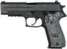These Sig Sauer Magazines Are For The P250.