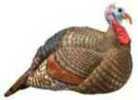 Hunter Specialties Strut Turkey Decoy Jake Snood