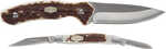 Blade Material: Stainless Steel Number Of BLADES: 2 Blade Length: VARIES Handle Material: STAGLON Handle Color: Bone Open Length: 0.0000 Closed Length: 0.0000 Weight: 0.0000 Other FEATURES:: SS BLADES...