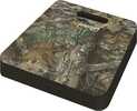 Allen Foam Cushion W/ Carry Handle 13"X14"X2" Realtree EDG