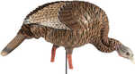Introducing the Heavy-Duty Realism (HDR) line of turkey decoys. Blow-molded into reality from hand-carved designs, these decoys harness unbeatable detail and durability. The HDR Feeding Hen brings a s...