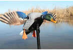MOJOÂ® Outdoors introduced the greatest advancement in motion decoys since the advent of the spinning wing decoy (SWD) with the all-new, patented MINI MALLARD, part of our MOJO MallardÂ® Elite Seriesâ...
