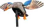 MOJOÂ® Outdoors introduced the greatest advancement in motion decoys since the advent of the spinning wing decoy (SWD) with the all-new, patented KING MALLARD, part of our MOJO MallardÂ® Elite Seriesâ...